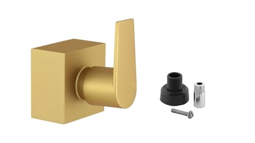 Acabamento Para Chuveiro Registro 1.1/4 1.1/2 50mm Quadrado Alavanca Dourado Fosco Banheiro Padrão Docol