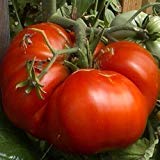 Aiden Gardens Giant Tomato Big Zac Heirloom Vegetable 50 Seeds (B07NNZVDHG) Amazon Price History, Amazon Price Tracker