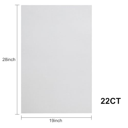 Image of Aida Cloth 22 Count Cross Stitch Fabric,19x28inch (22CT,White)