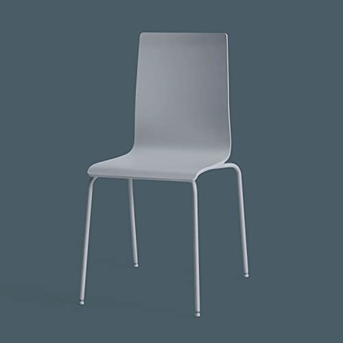 Rust-Oleum 334017 Painter's Touch 2X Ultra Cover Spray Primer, 12 oz, Flat Gray, (Pack of 1)