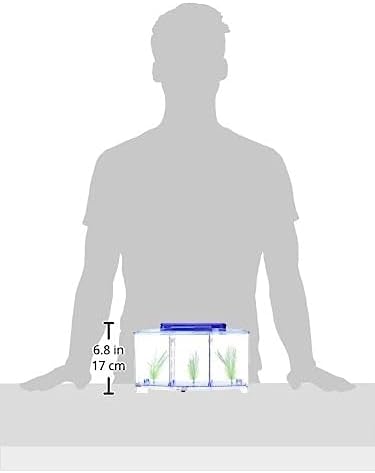 Mini Betta/Fighter Fish Tank With Three Compartments And 2 Color Changeable Led Lights-28 X 10 X 15 Cms