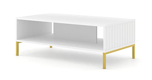 Homlando Table basse Wave 90 x 60 cm avec façades en MDF fraisées, table basse, table avec étagère, table d'appoint sur pieds en métal (blanc mat)