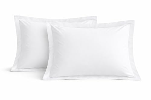 THREADZEN Queen Pillow Sham, Set of 2 Long Staple 100% Egyptian Cotton 20x30 Size - Pillow Protector - Cushion Cover/Case 2" Decorative Flange Hotel Style, Super Soft & Breathable - White