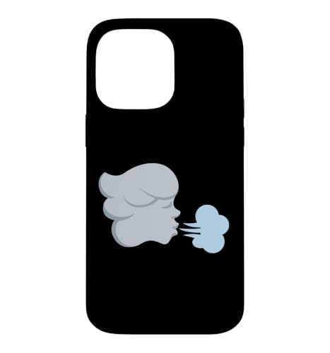 ���̊� �X�}�z�P�[�X iPhone 14 Pro Max �p