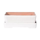 bonsai nakasone Macetas para bonsái Herstera Tiesto Bonsai Naka Blanco + Plato 30x22x7cm