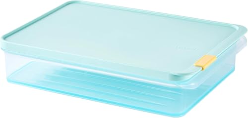 LocknLock Freezer Fit Plastic Freezer Containers | Airtight Stackable Food Storage for Meal Prep | Microwave & Dishwasher Safe | BPA Free Freezer Container with Lid, 2.2L
