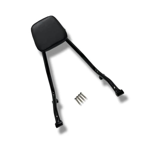 Poignée de maintien et sissy bar R18 pour éliminer la fatigue passager