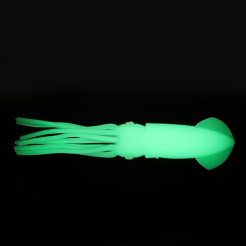Leurres de pêche phosphorescents pour vos sorties de nuit