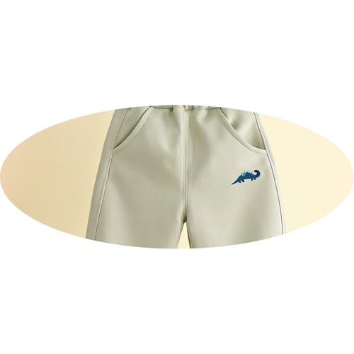 Toddler Baggy Sweatpants Boys Outdoor Joggers Elastic Waist Slacks Pants Workout Athletic Soft Cotton Casual Trousers4