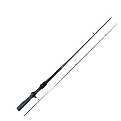 Canne à pêche Fast UL Carbon idéale pour ligne fine de 2-6 LB