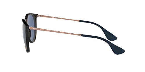 Image of Ray-Ban RB4171 Erika Round Sunglasses