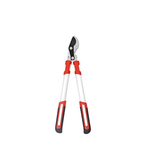 MLTUN MAKAN |p͂ ~j Lk} p[MA}؂ (@B~jŤi50cmj)