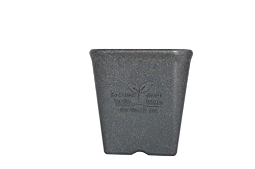 EF](Welzo) ݂XNGA|bg 12^ lCr[ y݂51%pz^zyvX`bN팸zyR݂ƂĎ̂Ăz