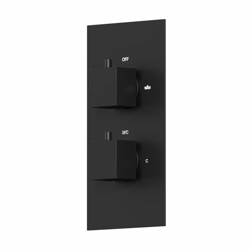 Architeckt® Thermostatic Bathroom Shower Mixer Valve Concealed Dual Twin Outlet Wall Mounted Square Controls Diverter Modern, Matt Black