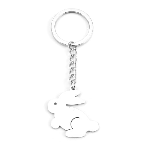 SHTALHST Porte-Clés Unique, Lapin Zodiaque, Acier Inoxydable, Accessoires Mode, Cadeau Anniversaire Femme, Petit Cadeau