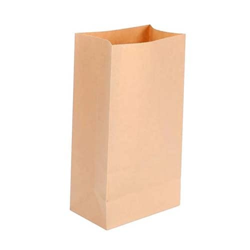 Pick n Carry Kraft Paper Bag Easy to Carry with Strong Grip | Square Bottom Bag | Food Grocery(Brown) (L10 x W5 x B3, 100)