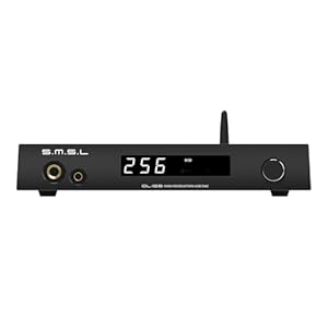 S.M.S.L DL100 Wzmacniacz Audio Hi-Fi DAC