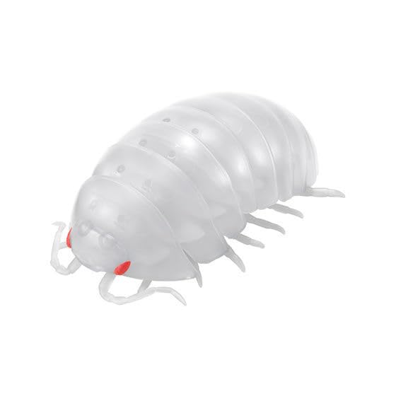 Amazon.co.jp: だんごむし03 フチゾリネッタイコシビロダンゴムシ編