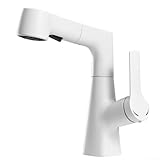 Küchenarmaturen, Einloch-Mischbatterien, Warm- und Kaltwasser integriert, 360 Grad schwenkbar, Küchenarmatur, Dual-Modi, für Badezimmer, Waschküche, Wohnmobile, Bars