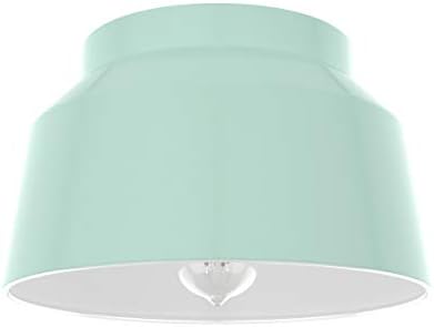 Hunter - Cranbrook 1-Light Mint, Medium Size Flush Mount Light, Dimmable, Modern Style, Bell Shaped, for Bedrooms, Kitchens, Foyers, Bathrooms - 19171