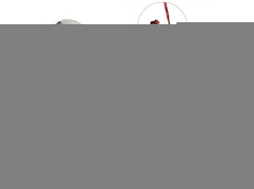 Miniatura 3 de Filtro de tolva seca de cerveza, filtro de salto de acero inoxidable de malla de 300 micrones, cartucho para hervidor de cerveza casero (2.8 x 7.1