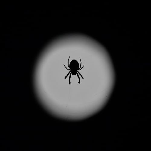 Phobias Pop Quiz, Courtney's Appointment Text Drama, Latest Buzz & More!