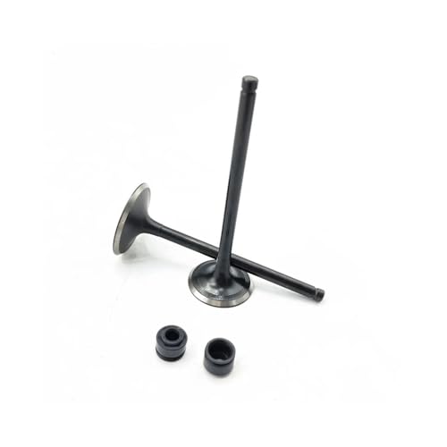 Válvulas de admisión y escape HS250CC kit de motor con sello de aceite para UTV