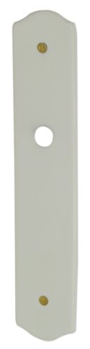 DT 2000 150110 Plaque simple porcelaine Blanc sans trou