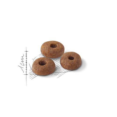 Royal Canin C-58523 FIT - 10 kg