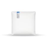 AM AEROMAX 16 ×16 Pillow Insert Memory Foam Throw Pillow Insert Sham Square for Decorative Cushion B