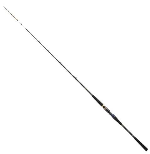 Amazon | ダイワ(DAIWA) 船竿 極鋭ヤリイカ EX 155・J | DAIWA