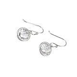 Holibanna 1 Paire Pierre de Lune Tombale Boucles Boucles D' Oreilles en Acier Titane Boucles D' Oreilles Oreille Danglers Crachats Cristal Crochets pour Femmes Filles Joke Anniversaire Bijoux