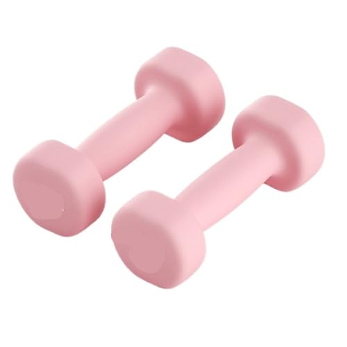 Mancuerna Equipo De Fitness Con Mancuernas For El Hogar, Mancuernas Pequeñas Sumergidas En Plástico For Entrenamiento De Músculos De Brazos De Hombres, Juego De Hierro Puro Sólido Sostener Objetos Pes