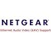 Netgear GS724TAV-20000S Ethernet Audio/Video (EAV) - License - 1 switch - for NETGEAR GS724T-400 - for ProSAFE GS724T 24-Port Gigabit Smart Managed Switch