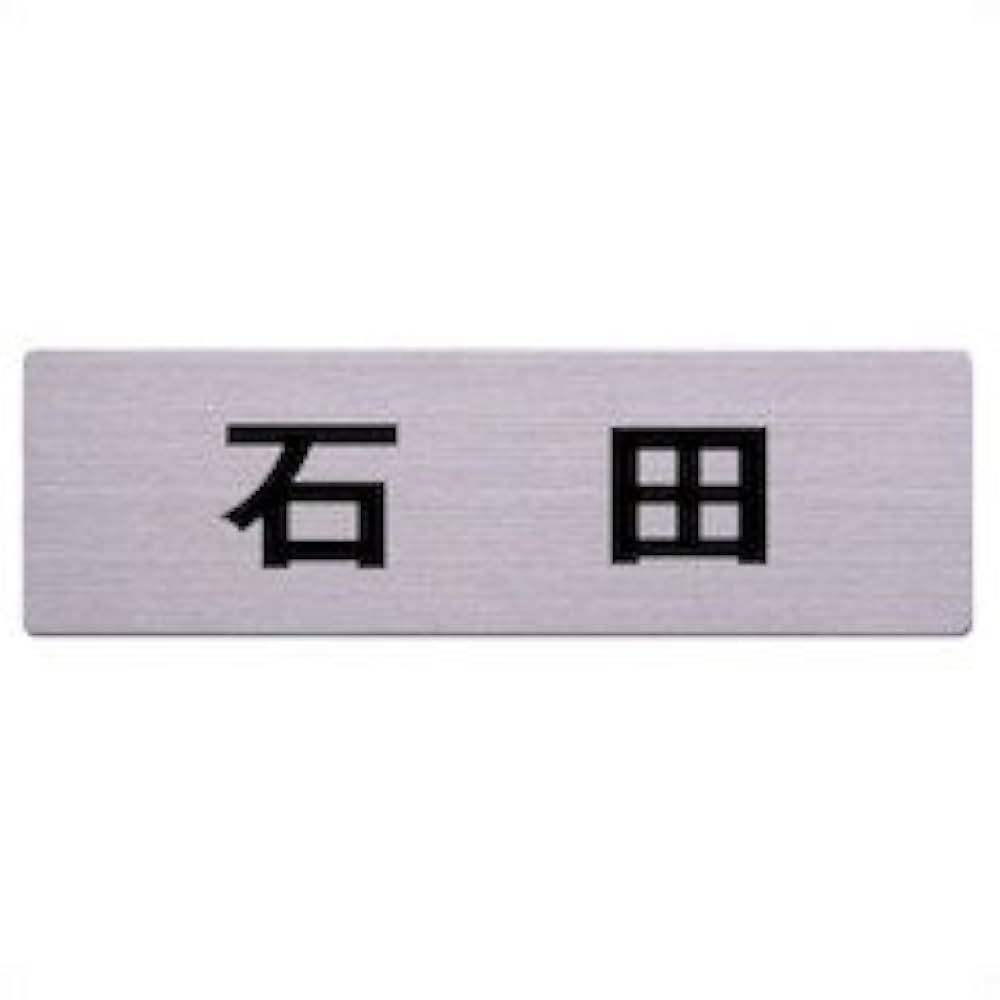 Amazon.co.jp: 光 ステンレス表札 石田 6×20cm カットシート貼
