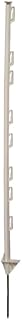 Step-in Poly Posts, PK50