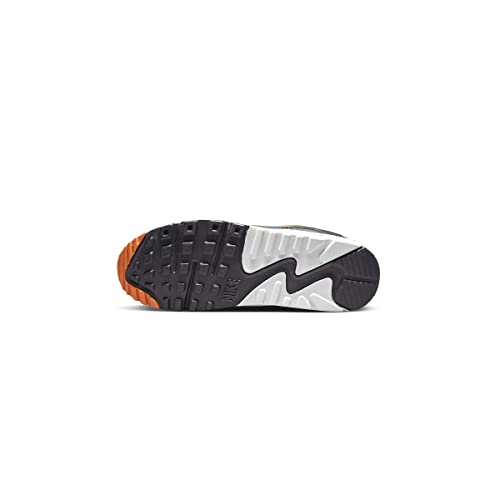 Image of NIKE Air Max 90 PRM Men's Trainers