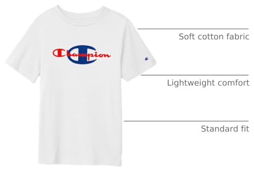 Image of Champion Men's Heritage Short Sleeve Tee, Men's T-Shirts, Vintage Shirts, Men's Tee Shirts, Graphics