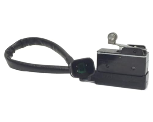 AVLIS-CO BZ-2RW822555114-W117 Basic/Snap Action Switches