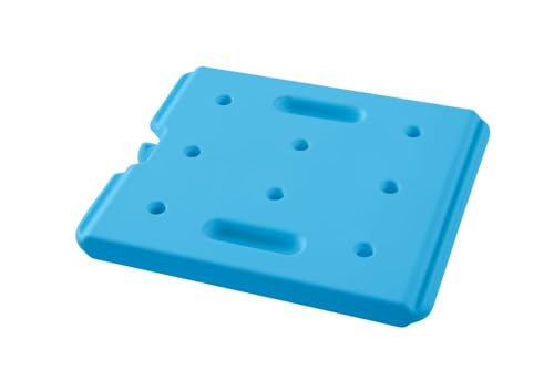 Bloc thermique GN 1/2 pour garder le frais en pique-nique et livraison
