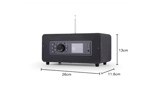 Radio DAB+ Bluetooth BEA103-028 fin des grésillements avec réveil et bois - 6
