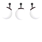 SKIVTGLAMP Mini Adjustable Halo Track Light Gimbaled Lamp, H-Type Track Mount Frosted White Globe Glass Shade Natural Wood Socket Rotatable for Kitchen Island, Sloped Vaulted Ceiling