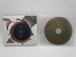 ヨルシカ　負け犬にアンコールはいらない初回限定盤　特典CD付き Amazon.co.jp: □□ ヨルシカ/負け犬にアンコールはいらない