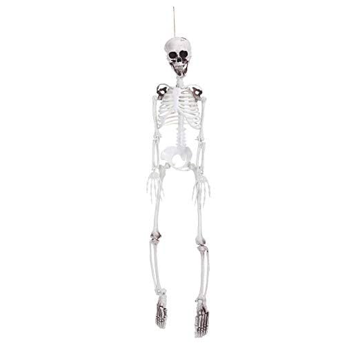 Squelette d'Halloween et os de crâne effrayants pour décoration de cimetière