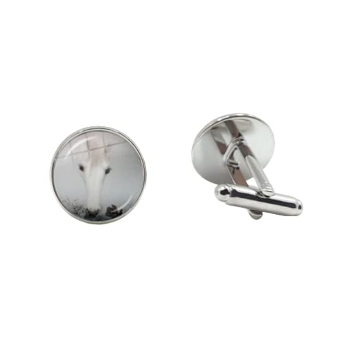 Erizo en la niebla Gemelos hombres mujeres Cabujón de vidrio hermosa dibujos animados Anima foto hecha a mano Gemelos Accesorios, 25mm, bronce, cristal, vidrio, metal, níquel, plata, estabilizado