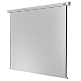 Celexon Leinwand Motor Professional 280 x 280 cm