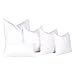 puredown® Natural Feather Down Throw Pillow Inserts 20 x 20 (Set of 2, White), Décor Pillow for Couch, Chairs, Office, Apartments