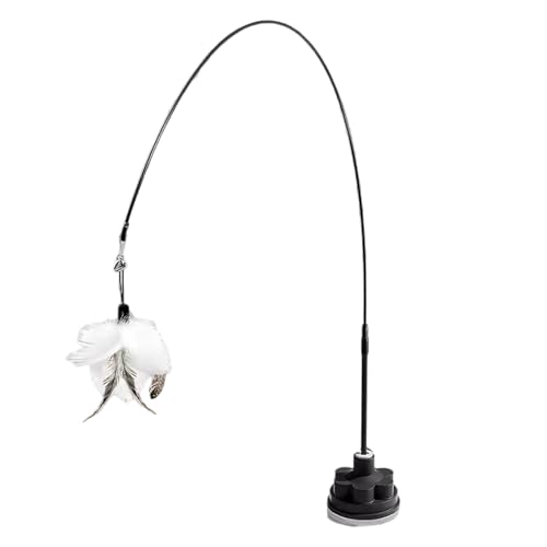 1BqL̉]уZLAzx[XC^NeBueB[U[hXgX[tzJbvL̏񂨂