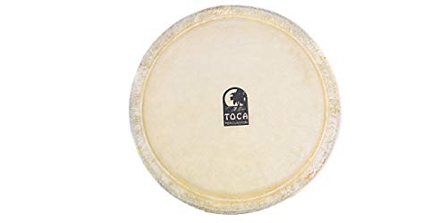 TOCA トカ ボンゴ Toca Synergy 10