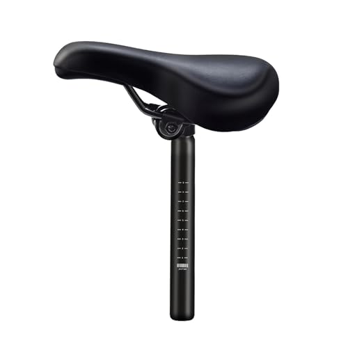 Almencla j̎qƏ̎q̂߂̎qp]ԃV[ǧAKȏSñTh, Saddle w 28.6mm Post